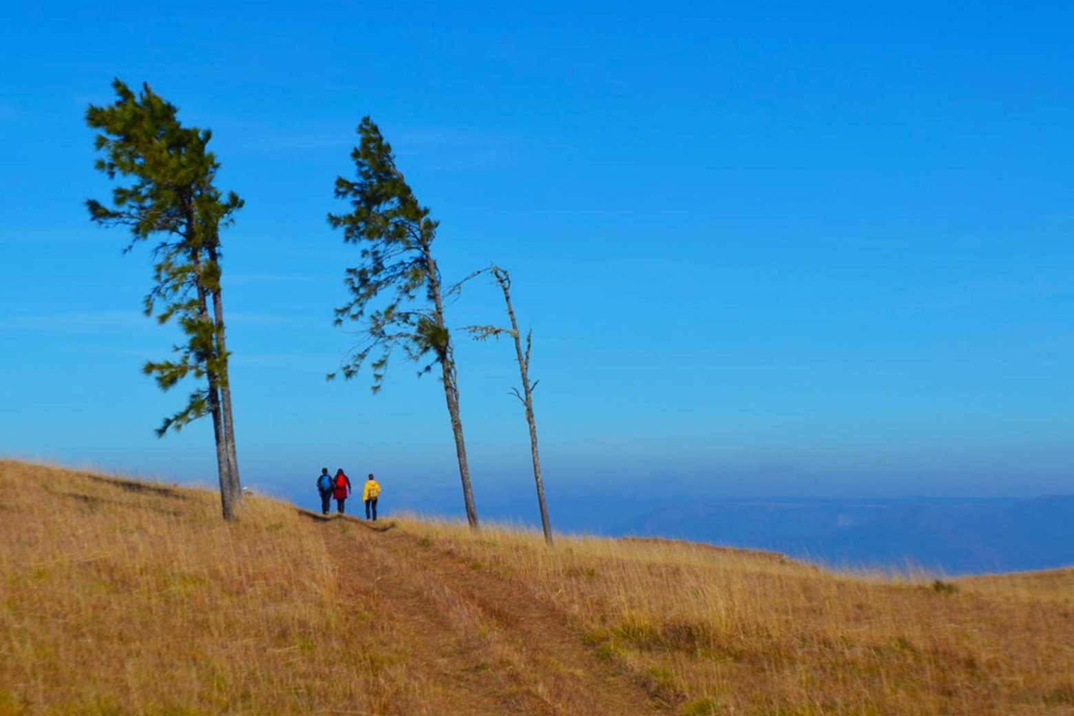 10 lugares para caminhadas no RS - Top Trip Adventure